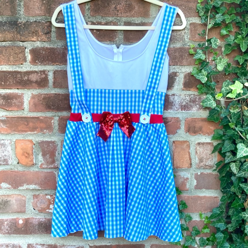 Dorothy costume